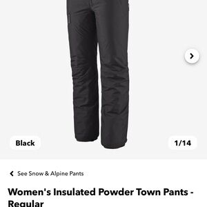 Patagonia Insulated Pants